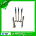 Customized M3 Self Tapping Stainless Steel Screw